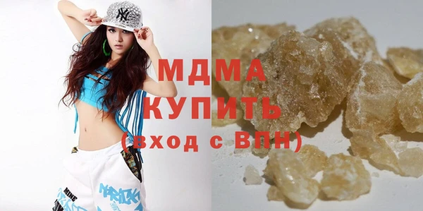 гашик Алексин