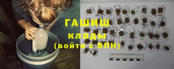 гашик Алексин