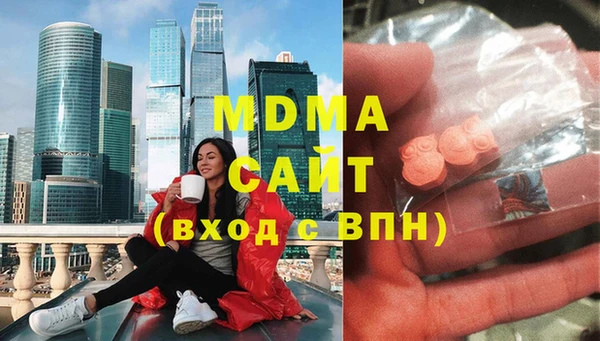 гашик Алексин