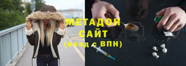 гашик Алексин
