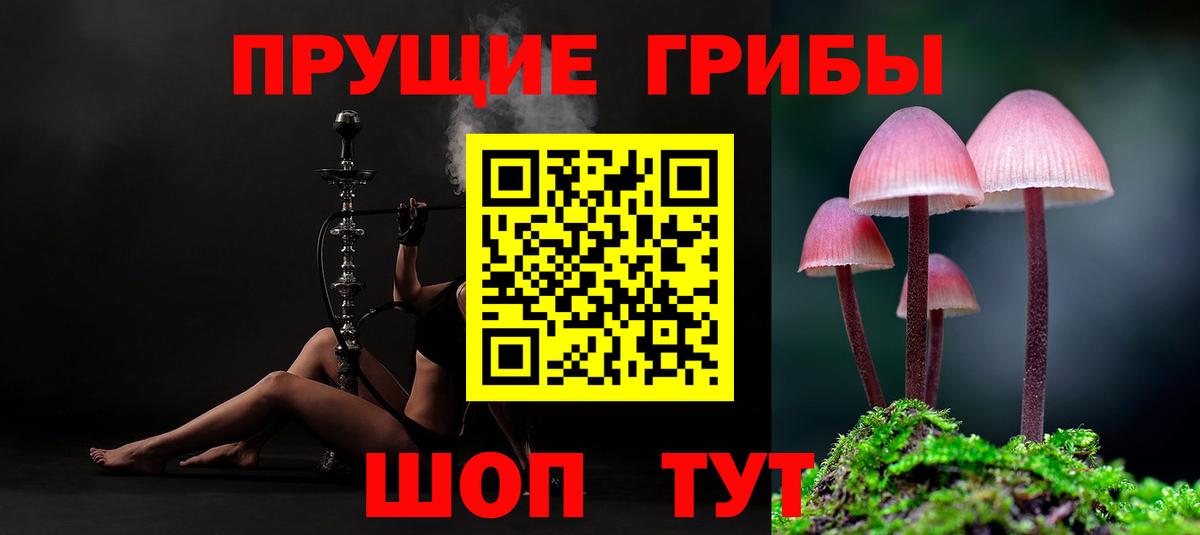 Псилоцибиновые грибы прущие грибы Усинск
